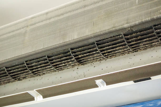 Best Affordable HVAC Duct Cleaning  in Thornville, OH